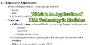 Which is An Application of DNA Technology in Medicine