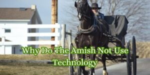 Why Do The Amish Not Use Technology