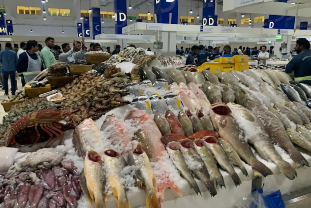 Boost Results With Quality Supplies From United Fish Dubai