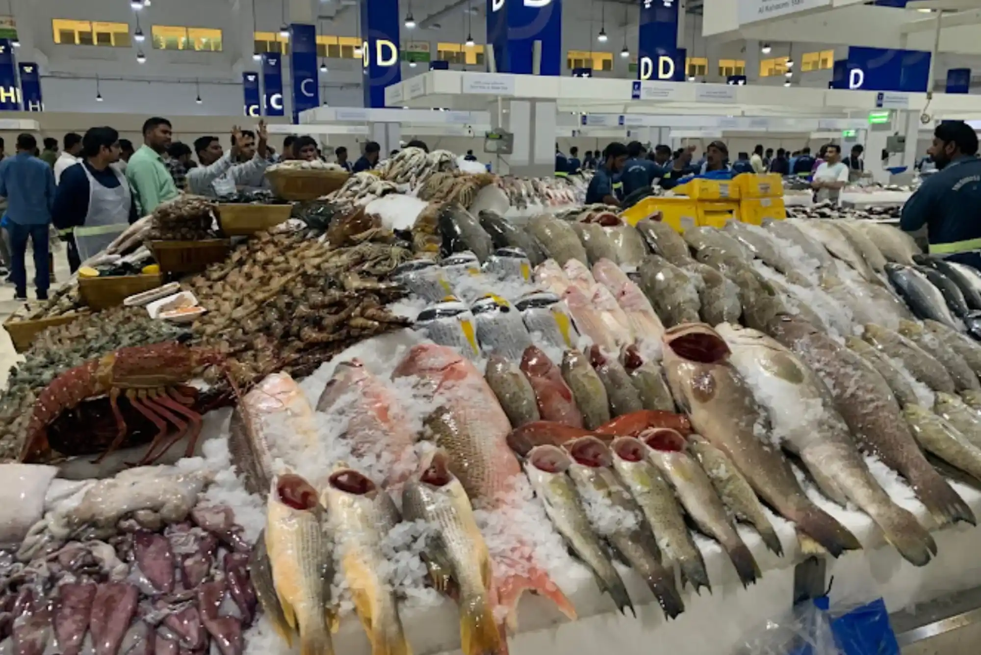 Boost Results With Quality Supplies From United Fish Dubai